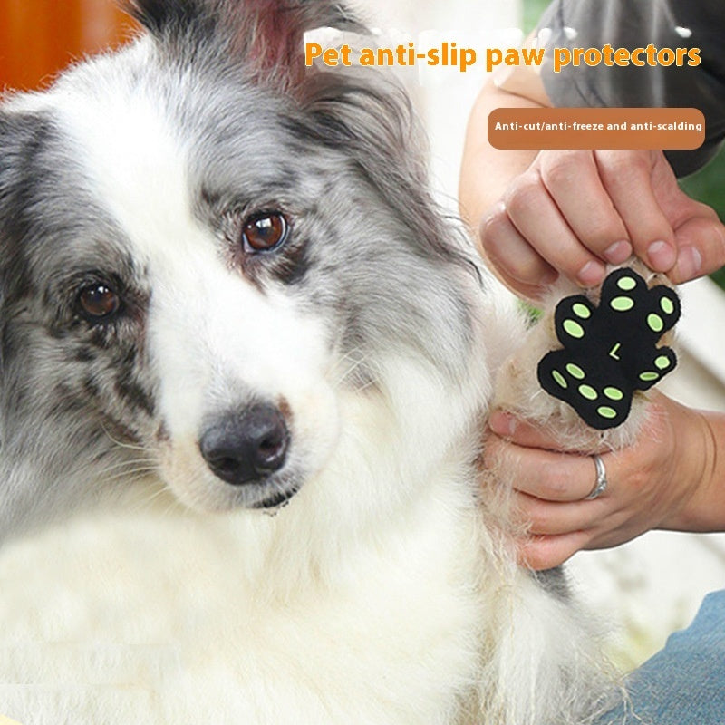 Pegatina protectora para garras de perro