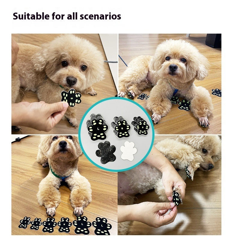 Pegatina protectora para garras de perro