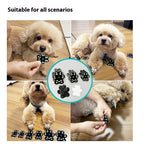 Pegatina protectora para garras de perro