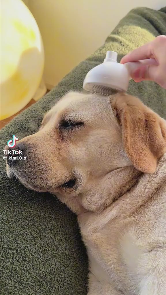 Cepillo en aerosol para pelo de mascotas