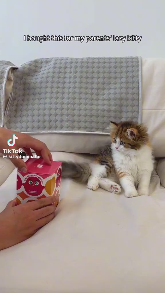 Flapping Bird Cat Toy