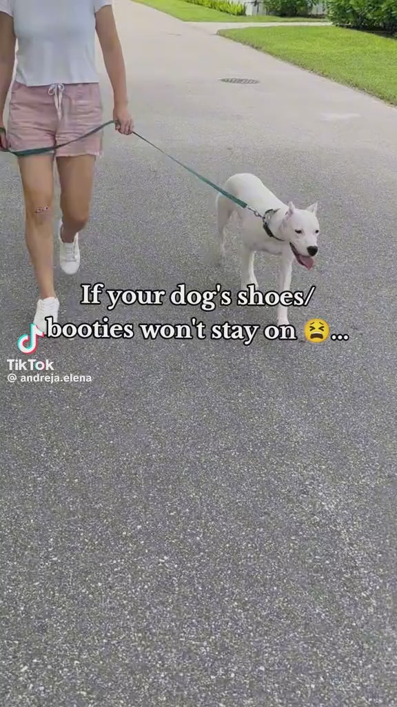 Dog Claw Protection Sticker